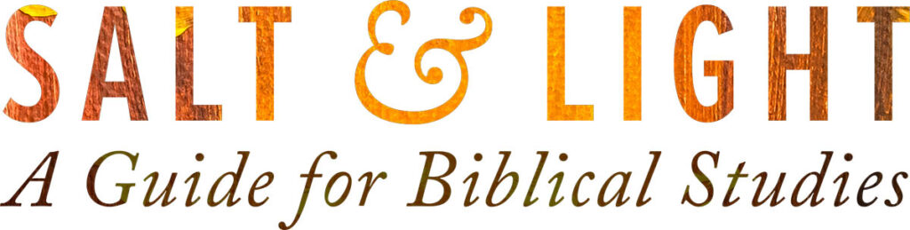 Salt & Light: A Guide for Biblical Studies