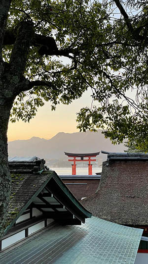 Cena tranquila com telhados e árvores