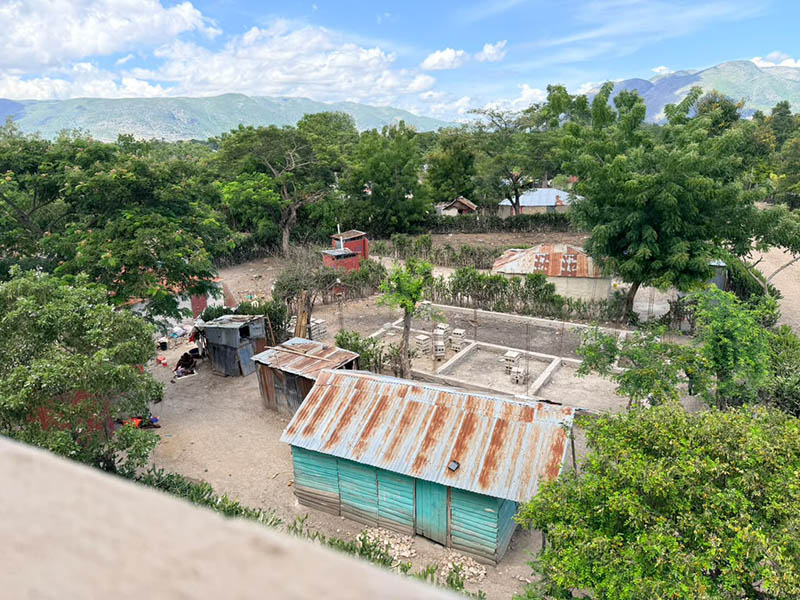 Houses with tin roofs surrounded by trees and mountains