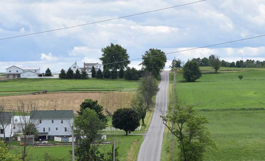 Road through green farmland