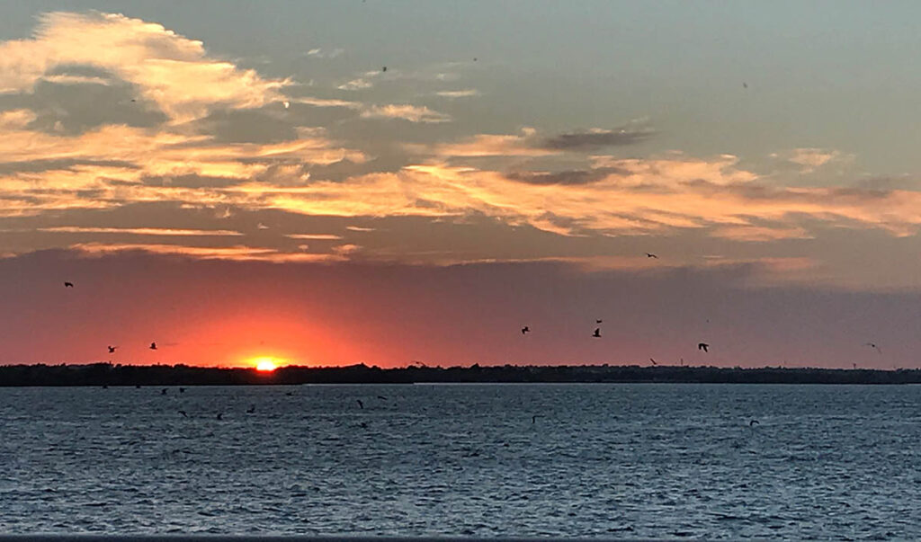 Sunset over a lake with birds flying