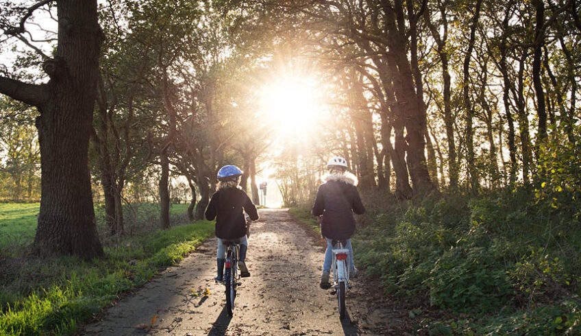 两个孩子骑着自行车穿过树林，奔向灿烂的阳光