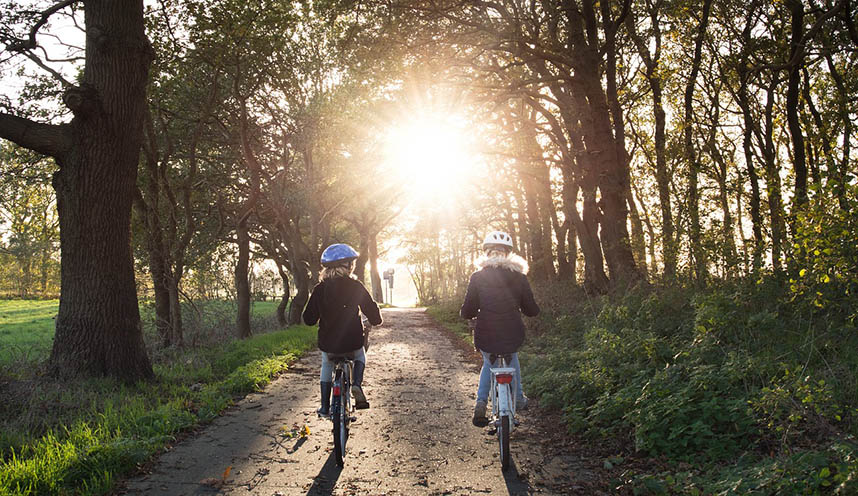Two children bike on a path through the woods toward a shining sun