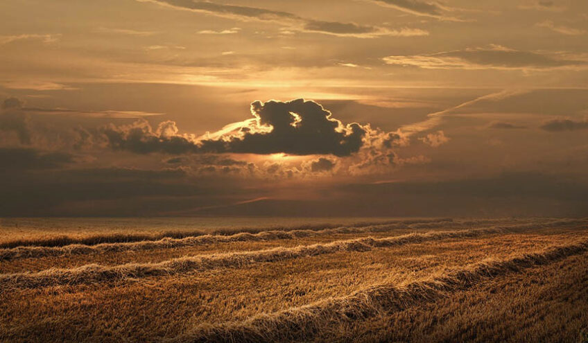 Sun shining through clouds above a field