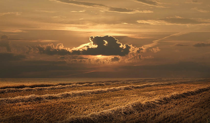 Sun shining through clouds above a field
