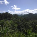 Puerto Rican scenery