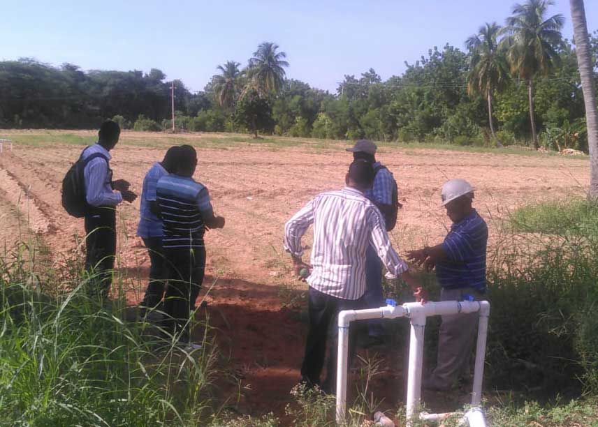Farmers viewing a field in the Dominican Republic