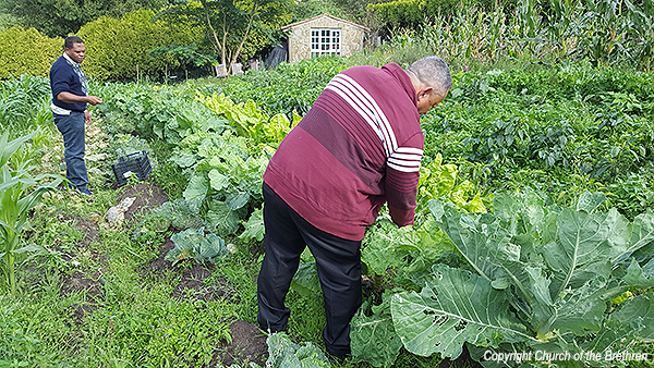 Members of the Church of the Brethren in Spain work in a community garden