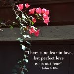 There is no fear in love - text with red flowers