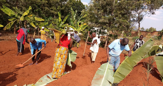 People in red dirt with shovels and large banana leaves