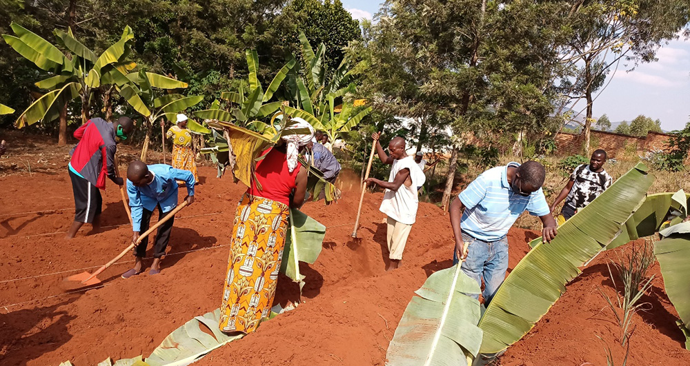 People in red dirt with shovels and large banana leaves