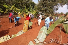 adding-banana-leaves