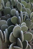 DSC_0360-5x7.jpg