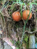 IMG_20190903_135128.jpg