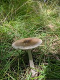 IMG_20190903_135745.jpg