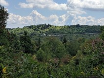 IMG_20190903_141711_1.jpg