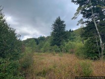 IMG_9293.jpg