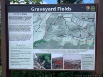 IMG_9323.jpg
