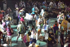 DSC_0599