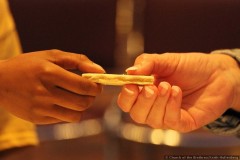 IMG_6986.jpg