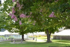 DSC_0305.jpg