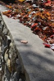 DSC_0326.jpg