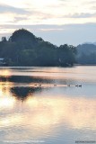 DSC_0269.jpg