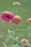 DSC_0297.jpg