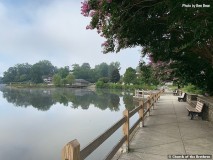 IMG_91891.jpg