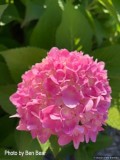 IMG_91961.jpg