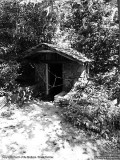 IMG_E6389.jpg