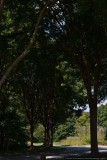 DSC_0083.jpg