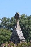 IMG_5937.jpg
