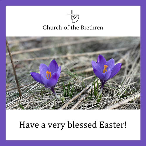 Purple flowers with the words 'Have a very blessed Easter'