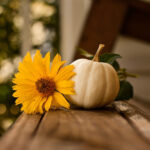 Image of a pumpkin and sunflower