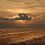 Sun shining through clouds above a field